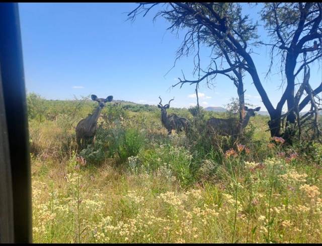 LAND FOR SALE IN LANSERIA